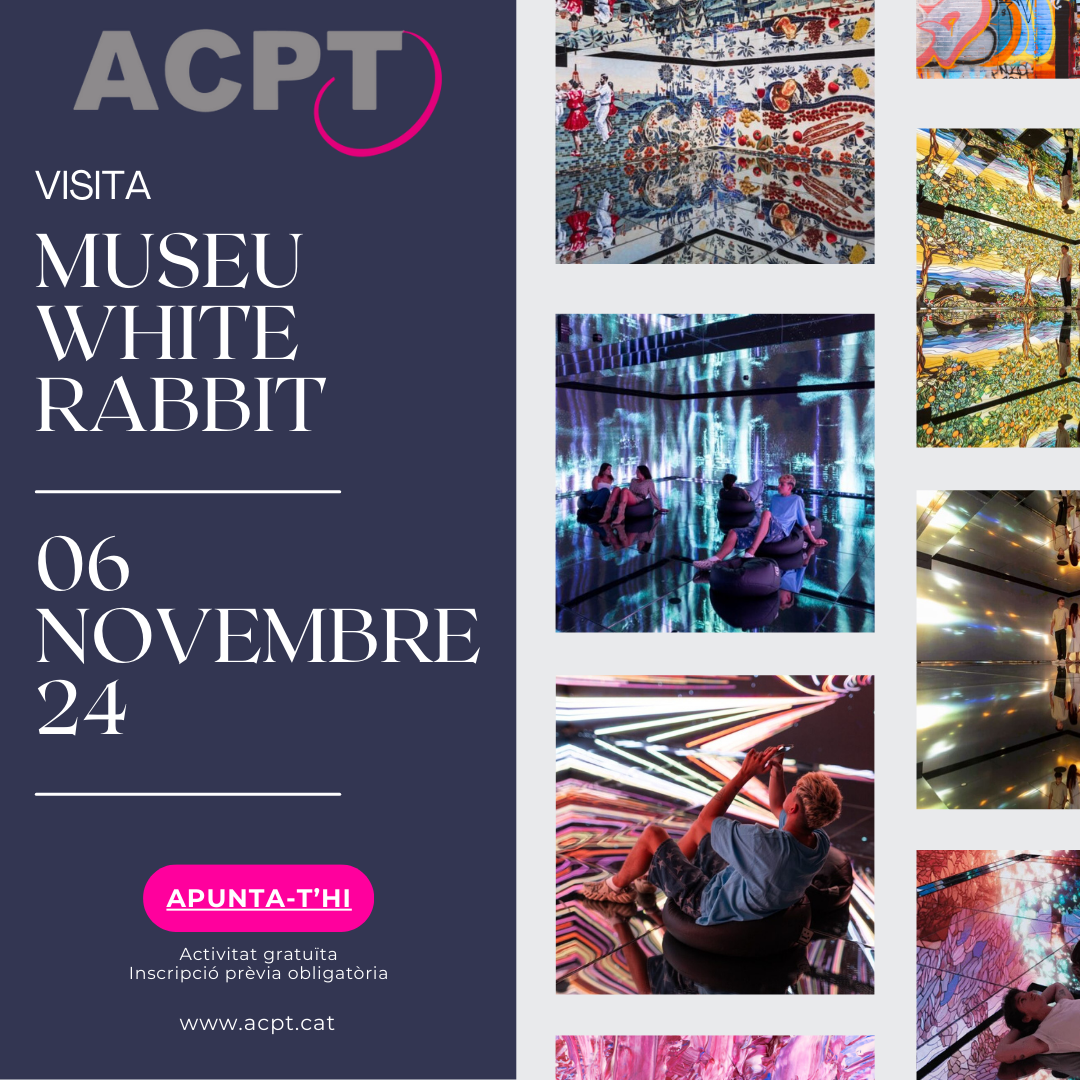 6 Novembre | Visita Museu White Rabbit